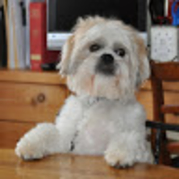 Meet your Posher, Lisa - Picture 1 of 1